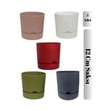 5 Adet Polıwork Saksı Begonya 12 Cm Renkli