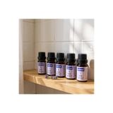 5 Adet - Saf Esansiyel Yağ - Oda Ve Ortam Kokusu - Lavanta Aromatik Uçucu Yağ 5x10ml Renkli