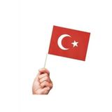 5 adet Sopalı Kağıt Büyük Türk Bayrağı 38x29cm