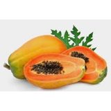5 Adet Tohum İthal Nadir Tropikal Bodur Papaya Ağacı Tohumu