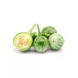 5 Adet Tohum Yesil Dolmalik Patlican Tohum Ithal Nadir Thayland Patlican Saksi Toprak Surpriz Hediye