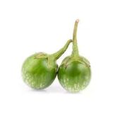 5 Adet Yesil Dolmalik Patlican Tohum