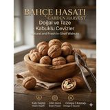 5 kg %100 Doğal ve Taze Kabuklu Dağ Cevizi - Yüksek Kalite ve Eşsiz Lezzet - [5000] gr - 5000 gr