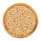 5 kg Aşurelik Buğday