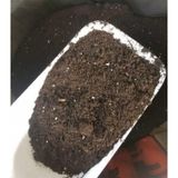 5 KG Torf Toprak. Fide. Çiçek. Bitki Yetiştirme Torfu
