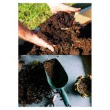 5 Litre Bonsai Toprağı %100 Organik Ve Katkısız Torf 17 Bitkinin Çözülmesinden Oluşmuş