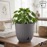 5 Litre Çizgi Saksı 21cm Tabaklı Delikli Plastik Drenajlı Çiçek Saksısı - Kahve