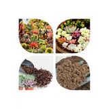 5 Litre Süper Organik Kaktüs Toprağı (17 Çeşit Ağaç Yaprağı Ve 3 Çeşit Hayvan Gübresi Karışımı)