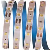 5 METRE CATA CT 4481 İç Mekan 12V 10 Çipli Şerit Led 3200K Günışığı
