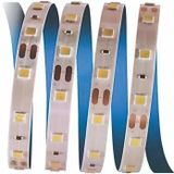 5 Metre Tellini Tl 4483 İç Mekan 12V 3 Çipli Şerit Led Yeşil Işık Vitrin