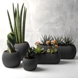 5 Parça Mercan Kaktüs Saksı Seti Plastik Sukulent Saksısı Set (Antrasit)