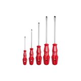 5 Pc.Torex Tornavida Tk.-Düz