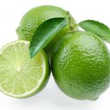 5 Yaş Aşılı Mexian Lime Yeşil Limon Fidanı