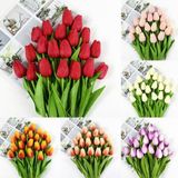 50 Adet 10 Farklı Mix Tulip Seed Lale Tohumu + 10 Adet Hediye K.renk Antoryum Çiçek Tohumu Dtlale0001979