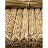 50 Adet Bambu Bitki Fidan Destek Çubuğu 190 - 200 Cm