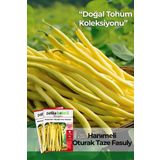 50 Adet Hanımeli (Turşuluk) Oturak Fasülye Tohumu