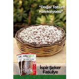 50 Adet İspir Şeker Fasulye Tohumu