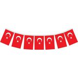 50 Adet Kağıt Ipli Türk Bayrağı 19 x 11 cm - Ay Yıldızlı Bayrak - Karışık-Çok Renkli