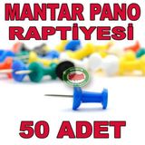 50 ADET MANTAR PANO RAPTİYESİ ve HARİTA ÇİVİSİ