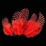 50 Adet Puantiyeli Kırmızı Siyah Kuş Tüyü Kırmızı Kuş Tüyü Decor Red Bırd Feather Kırmızı Şeffaf Balon Tüyü
