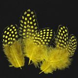 50 Adet Puantiyeli Sarı Siyah Kuş Tüyü Sarı Kuş Tüyü Decor Yellow Bırd Feather Sarı Şeffaf Balon Tüyü