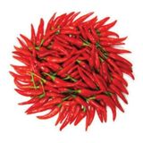 50 Adet Tohum Eko Paket Şili Biberi Tohumu Çok Acı Chili Biberi Tohumu Sürpriz Hediye Sebze Tohumudu