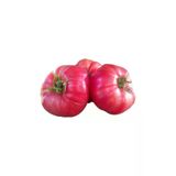 50 Adet Tohum Nadir Iri Pembe Oturak Koy Bulgar Domatesi Tohumu Bulgar Pembe Domates Tohum