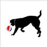 50 cm Top Oynayan Köpek Folyo Sticker