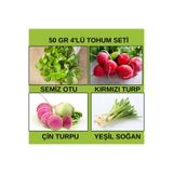 50 Gr - 4 Çeşit Sebze Tohumu (SEMİZ OTU,KIRMIZI TURP,YEŞİL SOĞAN,ÇİN TURPU) bade4cesit50gr