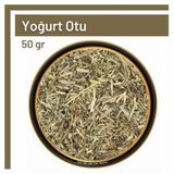 50 gr Yoğurt Otu
