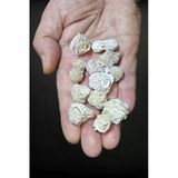 50 Gram Çöl Gülü Sabır Taşı Peru 219-3