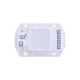 50 W Cob Led Projektör