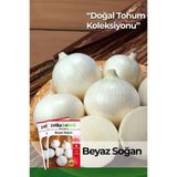 500 Adet Beyaz Soğan Tohumu