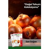 500 Adet Sarı Soğan Tohumu