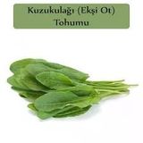 500 Adet Tohum Kuzukulağı Kuzu Kulağı Tohumu Koç Kulağı Tohumu Ekşi Otu Organik Tohumu Saksı Toprakl