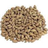 500 gr Kavrulmuş Antep Fıstığı
