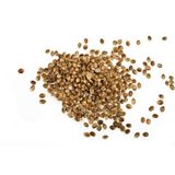 500 gr Kendir Tohumu