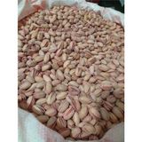 500 gr Siirt Fıstığı - 500 Gram