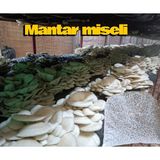 500 Gram Istiridye Mantar Tohumu ( 'adet Ekim Poşeti Hediyeli)