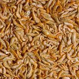500 Gram Tropical River Shrimps Kurutulmuş Nehir Karidesi