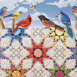 500 parça Puzzle Feathered Stars 24210 Sunsout