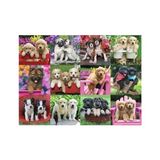 500 Parça Puzzle Köpek Yavruları