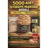 5000 Adet İstiridye Mantarı Miseli + Ekim Poşeti + Kılavuz | Hediye Üzüm Tohumu