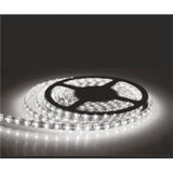 5050 3 Çipli Şerit Led Beyaz İç Mekan 5 Metre