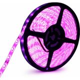 5050 Smd 12V 60 Led/m Iç Mekan 3 Çipli Şerit LED (5 Metre) - Mor