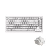 5075b Plus Shine-through Rgb Kablosuz Hotswap Mekanik Gaming Klavye