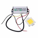 50w Led Driver 50w Power Led Renk Beyaz 50 Watt Projektör Ledi