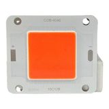 50WATT Cob LED 36VOLT 1500MA 40*45MM Kırmızı - 1 m