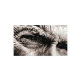 512 STORE Clint Eastwood Klasik Duvar Poster, 325322r4324