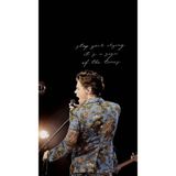 512 STORE Harry Styles Poster, 12354889655